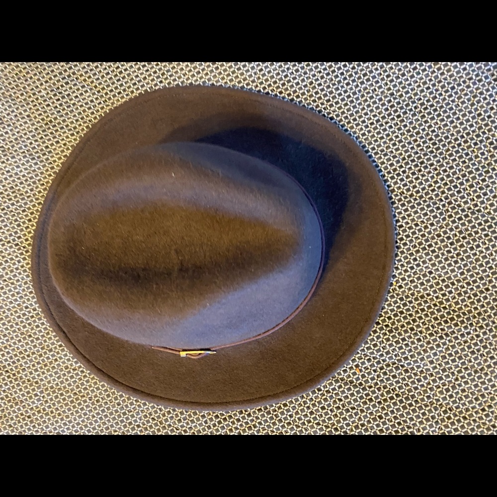 Brown fedora hat